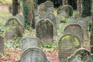 Dichte Reihe verwitterter jüdischer Grabsteine zwischen alten Bäumen auf dem Alten jüdischen Friedhof in Tachov