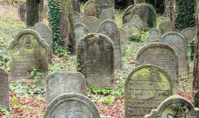 Dichte Reihe verwitterter jüdischer Grabsteine zwischen alten Bäumen auf dem Alten jüdischen Friedhof in Tachov