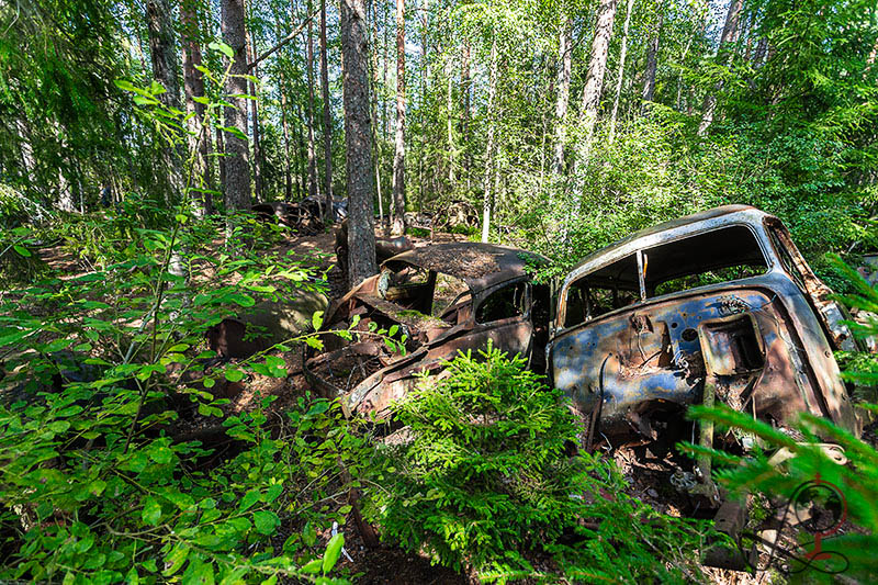 Kyrkö Mosse Autofriedhof als Kulturgut bis 2050 geschützt 10 Kyrkö Mosse Autofriedhof im Sommer 2002