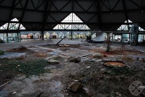 Verlassene Halle des Gartendoms mit Schutt auf dem Boden