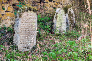 Reihe verwitterter jüdischer Grabsteine zwischen Moos, Gras und Sträuchern