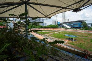 Blick über die überwucherten Tribünen auf die Bahn im Velodrom Pang